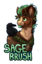 Size: 1200x1800 | Tagged: safe, artist:sursiq, derpibooru import, raven, oc, oc:sagebrush, bird, earth pony, pony, :p, badge, clothes, costume, dappled sunlight, druid, earth pony oc, green eyes, image, multicolored hair, multicolored mane, name, outline, png, ponyville ciderfest, shading, simple background, smiling, solo, text, tongue out, transparent background