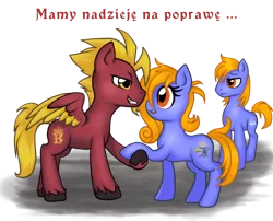 Size: 540x436 | Tagged: safe, derpibooru import, oc, oc:prince baltic, oc:princess pomerania, unofficial characters only, image, png, polish, simple background, transparent background, tribrony