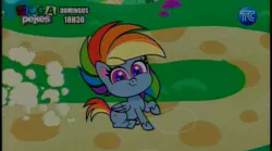 Size: 864x482 | Tagged: safe, derpibooru import, screencap, rainbow dash, pegasus, my little pony: pony life, ecuador, image, intro, png, tc television, wings