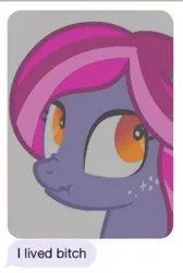 Size: 851x1263 | Tagged: artist needed, safe, derpibooru import, ponified, pony, equestria daily, female, i lived bitch, image, meme, png, rip equestria daily, solo, text, vulgar
