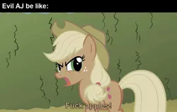 Size: 1280x810 | Tagged: safe, derpibooru import, edit, edited screencap, editor:fluttershyisnot adoormat, screencap, applejack, earth pony, pony, season 2, the return of harmony, applejack's hat, bad language, caption, cowboy hat, discorded, evil, evil character be like, female, freckles, green eyes, hat, image, jpeg, mare, meme, open mouth, outdoors, solo, standing, swearing, text, vulgar