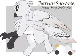 Size: 2460x1804 | Tagged: safe, artist:beardie, derpibooru import, oc, oc:barran snowrose, bird, gryphon, hybrid, owl, feather, female, griffon oc, image, png, reference, reference sheet, snowy owl, talons