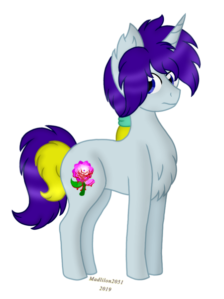 Size: 720x960 | Tagged: safe, artist:madlilon2051, derpibooru import, oc, unofficial characters only, pony, unicorn, chest fluff, ear fluff, horn, image, male, png, simple background, stallion, transparent background, unicorn oc