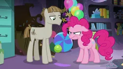 Size: 1280x720 | Tagged: safe, derpibooru import, screencap, mudbriar, pinkie pie, earth pony, pony, season 8, the maud couple, spoiler:s08, angry, duo, frustrated, image, male, mane, party cave, pinkie pie is not amused, png, stallion, unamused