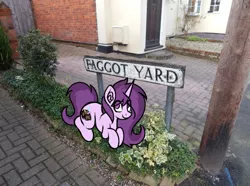 Size: 616x459 | Tagged: safe, artist:czu, derpibooru import, oc, oc:czupone, cute, faggot, image, irl, irl photo, looking at you, photo, png, sign, slur, telephone pole, vulgar, yard