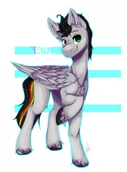Size: 4057x5500 | Tagged: safe, artist:fantisai, derpibooru import, oc, unofficial characters only, pegasus, pony, abstract background, image, jpeg, male, pegasus oc, raised hoof, smiling, solo, stallion, unshorn fetlocks, wings