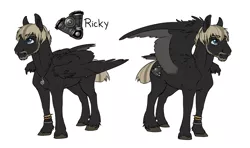 Size: 1453x861 | Tagged: safe, artist:royvdhel-art, derpibooru import, oc, oc:ricky, unofficial characters only, pegasus, pony, beard, colored wings, duo, facial hair, image, male, pegasus oc, png, simple background, stallion, story included, two toned wings, white background, wings