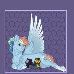 Size: 2048x2048 | Tagged: safe, artist:rainydayjitters, derpibooru import, rainbow dash, oc, gryphon, pony, image, lying down, parent:gilda, png, prone