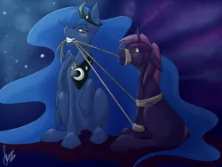 Size: 4000x3000 | Tagged: safe, artist:stirren, derpibooru import, princess luna, oc, alicorn, pony, unicorn, bondage, commission, couple, female, grin, high res, horn, image, mare, mouth hold, png, rope, rope bondage, sitting, smiling, wings, your character here