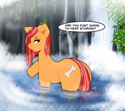 Size: 1280x1132 | Tagged: safe, artist:maynara, derpibooru import, oc, oc:peaches(maynara), unofficial characters only, earth pony, bathing, image, jpeg, looking back, raised hoof, reflection, speech bubble, steam, water, waterfall, wet, wet mane