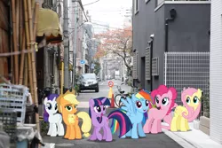 Size: 2000x1333 | Tagged: safe, artist:dashiesparkle, derpibooru import, applejack, fluttershy, pinkie pie, rainbow dash, rarity, twilight sparkle, earth pony, pegasus, pony, unicorn, image, irl, japan, mane six, photo, png, ponies in real life, tokyo, unicorn twilight