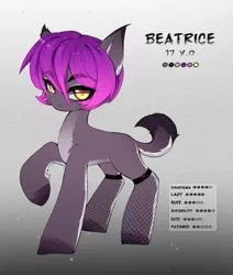 Size: 1698x2000 | Tagged: safe, artist:shavurrr, artist:tatar.sauce, derpibooru import, oc, oc:beatrice, unofficial characters only, earth pony, pony, beautiful eyes, blank flank, character design, clothes, color palette, colored pupils, cute, ear fluff, earth pony oc, eyebrows, eyebrows visible through hair, eyelashes, female, golden eyes, gradient background, gray coat, image, jpeg, looking at you, mare, ocbetes, pale belly, pantyhose, purple mane, raised hoof, reference sheet, short tail, solo, tail, teenager, two toned coat, yellow eyes