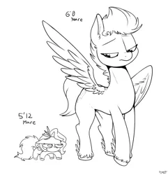 Size: 1350x1400 | Tagged: safe, artist:skoon, derpibooru import, pipp petals, zipp storm, pegasus, pony, duo, female, g5, grumpy, image, jpeg, lineart, looking down, mare, marelet, monochrome, pipp is short, ponelet, siblings, simple background, sisters, size comparison, smol, unshorn fetlocks, white background, wings