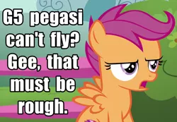 Size: 1040x720 | Tagged: safe, derpibooru import, edit, edited screencap, screencap, scootaloo, pegasus, pony, my little pony: a new generation, the fault in our cutie marks, spoiler:g5, spoiler:my little pony: a new generation, caption, female, filly, g5, g5 pegasi can't fly, image, image macro, jpeg, open mouth, purple eyes, scootaloo can't fly, scootaloo is not amused, solo, text, unamused, wings