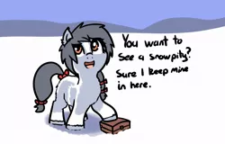 Size: 846x540 | Tagged: safe, artist:neuro, derpibooru import, oc, unofficial characters only, earth pony, pony, taiga pony, bow, coat markings, female, filly, fluffy, image, jpeg, looking up, snow, snowpity, solo, suitcase, tail, tail bow, talking to viewer