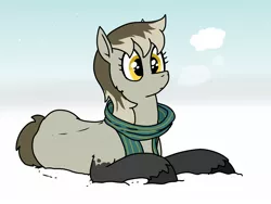 Size: 1600x1200 | Tagged: safe, artist:pony quarantine, derpibooru import, oc, unofficial characters only, earth pony, pony, taiga pony, breath, clothes, coat markings, image, jpeg, lying down, prone, scarf, snow, socks (coat marking), solo