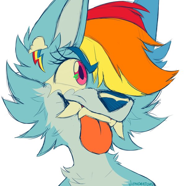 Size: 2000x2000 | Tagged: safe, artist:wutanimations, derpibooru import, part of a set, rainbow dash, wolf, alternative cutie mark placement, bust, cheek fluff, chest fluff, ear fluff, fangs, fluffy, image, jpeg, simple background, solo, species swap, tongue out, white background, wolfified