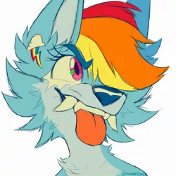 Size: 2000x2000 | Tagged: safe, artist:wutanimations, derpibooru import, part of a set, rainbow dash, wolf, alternative cutie mark placement, bust, cheek fluff, chest fluff, ear fluff, fangs, fluffy, image, jpeg, simple background, solo, species swap, tongue out, white background, wolfified