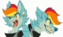 Size: 3644x2160 | Tagged: safe, artist:wutanimations, derpibooru import, part of a set, rainbow dash, wolf, alternative cutie mark placement, bust, cheek fluff, chest fluff, collar, ear fluff, fangs, fluffy, image, jpeg, open mouth, profile, simple background, solo, species swap, three quarter view, white background, wolfified