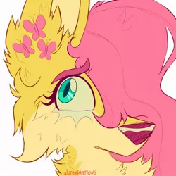 Size: 2000x2000 | Tagged: safe, artist:wutanimations, derpibooru import, part of a set, fluttershy, wolf, alternative cutie mark placement, bust, cheek fluff, chest fluff, ear fluff, fluffy, hair over one eye, image, jpeg, simple background, solo, species swap, white background, wolfified