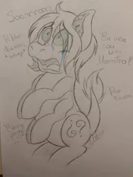 Size: 720x960 | Tagged: safe, artist:millefaller, derpibooru import, oc, unofficial characters only, earth pony, pony, crying, ear fluff, earth pony oc, image, jpeg, lineart, multiple limbs, open mouth, partial color, solo, talking, traditional art