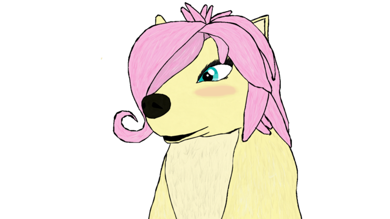 Size: 1920x1080 | Tagged: safe, artist:jhilton0907, derpibooru import, fluttershy, wolf, alpha and omega, blushing, image, png, simple background, solo, species swap, transparent background, wolfified