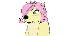 Size: 1920x1080 | Tagged: safe, artist:jhilton0907, derpibooru import, fluttershy, wolf, alpha and omega, blushing, image, png, simple background, solo, species swap, transparent background, wolfified