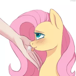 Size: 2200x2200 | Tagged: safe, artist:chickenbrony, derpibooru import, fluttershy, human, pegasus, pony, blushing, female, hand, image, looking up, mare, png, solo, sugarcube