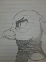 Size: 3000x4000 | Tagged: safe, artist:mustaphatr, derpibooru import, oc, oc:iovinius eyrie, unofficial characters only, gryphon, equestria at war mod, armor, chainmail, image, jpeg, lined paper, solo, traditional art
