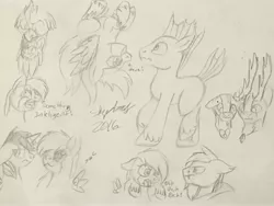 Size: 3847x2889 | Tagged: safe, artist:spirit--productions, derpibooru import, oc, oc:lightning bliss, alicorn, pony, alicorn oc, female, horn, image, jpeg, lineart, male, mare, sketch, sketch dump, stallion, traditional art, upside down, wings