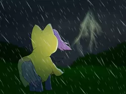 Size: 1600x1197 | Tagged: safe, artist:minimalistichipster, artist:rottenthemaker, derpibooru import, oc, pony, bush, clothes, cloud, cloudy, grass, image, jpeg, lightning, outdoors, rain, raincoat, solo, storm, unknown pony, wind, windswept mane