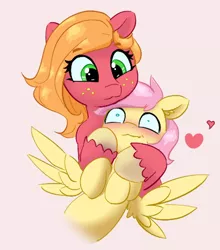 Size: 506x575 | Tagged: safe, artist:pabbley, color edit, derpibooru import, edit, big macintosh, fluttershy, pony, blushing, butterreina, butterscotch, colored, female, fluttermac, heart, holding, holding a pony, image, larger female, macareina, male, png, rule 63, shipping, simple background, size difference, smaller male, smiling, spread wings, straight, wavy mouth, wingboner, wings