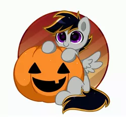 Size: 3670x3387 | Tagged: safe, artist:kittyrosie, derpibooru import, part of a set, oc, unofficial characters only, pegasus, pony, commission, halloween, holiday, image, jpeg, pumpkin, solo, ych result