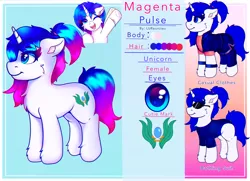 Size: 3120x2258 | Tagged: safe, artist:legionsunite, derpibooru import, oc, oc:magenta pulse, unofficial characters only, pony, unicorn, clothes, image, png, ponytail, profile, reference sheet, simple background, text