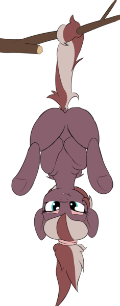 Size: 1567x3995 | Tagged: safe, artist:wenni, derpibooru import, oc, oc:efflorescence, unofficial characters only, bat pony, pony, bat pony oc, bat wings, hanging, hanging upside down, image, png, simple background, solo, transparent background, tree branch, upside down, wings