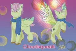Size: 1772x1181 | Tagged: safe, artist:shacy's pagelings, derpibooru import, oc, oc:cloudsqueak, unofficial characters only, pegasus, pony, abstract background, clothes, colored hooves, colored wings, flying, image, jpeg, my little pony, original art, original character do not steal, reference, scarf, standing, unshorn fetlocks, wings