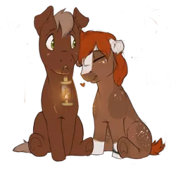 Size: 1103x1071 | Tagged: safe, artist:romyvdhel-art, derpibooru import, oc, unofficial characters only, earth pony, pony, earth pony oc, eyes closed, female, image, lantern, male, mare, mouth hold, png, simple background, stallion, transparent background, underhoof