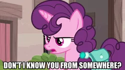 Size: 1280x720 | Tagged: safe, derpibooru import, edit, edited screencap, editor:jaredking203, screencap, sugar belle, pony, unicorn, hard to say anything, spoiler:s07, caption, female, image, mare, png, text