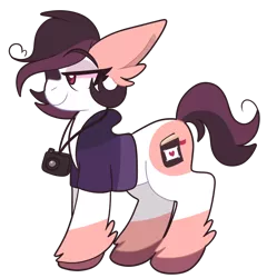 Size: 1024x1067 | Tagged: safe, artist:saveraedae, derpibooru import, oc, oc:savvy spice, unofficial characters only, earth pony, pony, camera, coat markings, colored hooves, ear fluff, female, g5, image, pinto, png, solo, unshorn fetlocks
