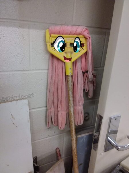 Size: 1080x1440 | Tagged: safe, derpibooru import, edit, fluttershy, fluttermop, image, jpeg, meme, photo