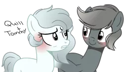 Size: 1280x741 | Tagged: safe, artist:venomous-cookietwt, derpibooru import, oc, oc:quill, oc:tommy, earth pony, pony, female, image, male, mare, png, simple background, stallion, transparent background