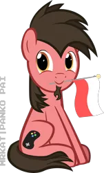 Size: 2845x4695 | Tagged: safe, artist:mrkat7214, derpibooru import, oc, oc:ace play, unofficial characters only, earth pony, pony, facial hair, goatee, image, looking at you, male, mouth hold, png, poland, polish flag, simple background, sitting, smiling, solo, stallion, transparent background, vector