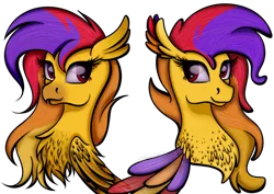 Size: 1024x727 | Tagged: safe, artist:victoria-luna, derpibooru import, oc, unofficial characters only, classical hippogriff, hippogriff, seapony (g4), beak, bust, chest fluff, eyelashes, feather, female, image, png, portrait, purple eyes, simple background, smiling, solo, transparent background, wings