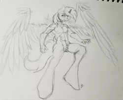 Size: 2048x1666 | Tagged: safe, artist:skygunner, derpibooru import, oc, oc:noteworthy, alicorn, anthro, image, jpeg, male, pubic fluff, sketch, solo, traditional art