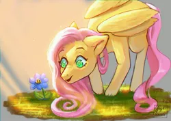 Size: 4093x2894 | Tagged: safe, artist:jaynsparkle, derpibooru import, fluttershy, bee, insect, pegasus, pony, flower, image, jpeg, looking at something, smiling, solo