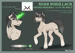 Size: 4093x2894 | Tagged: safe, artist:blackcloud2000, derpibooru import, oc, oc:noah noigillach, pony, unicorn, image, male, png, reference sheet, solo, stallion