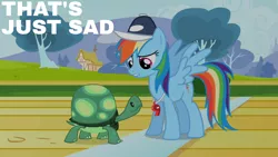 Size: 1920x1080 | Tagged: safe, derpibooru import, edit, edited screencap, editor:quoterific, screencap, rainbow dash, tank, pegasus, pony, tortoise, may the best pet win, season 2, cap, female, hat, image, male, mare, png, spread wings, whistle, whistle necklace, wings