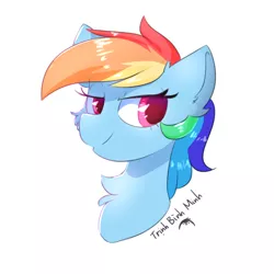 Size: 800x800 | Tagged: safe, artist:morningbullet, derpibooru import, rainbow dash, pony, cheek fluff, chest fluff, colored pupils, ear fluff, female, image, jpeg, lidded eyes, mare, simple background, solo, white background