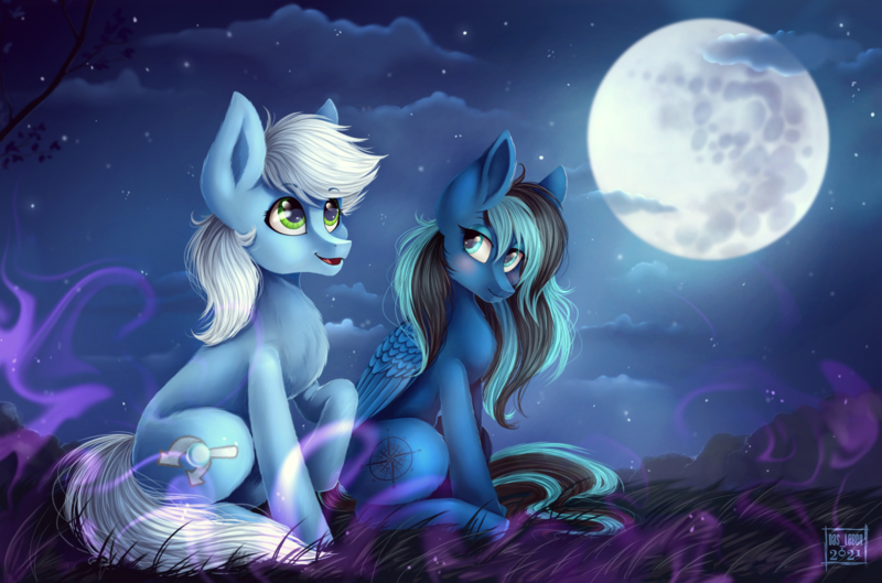 Size: 3458x2287 | Tagged: safe, artist:das_leben, derpibooru import, oc, oc:moonshine, oc:tracker, earth pony, pegasus, pony, admiring, blushing, cloud, cloudy, cute, field, full moon, image, moon, png, scenery