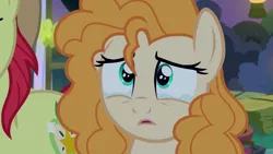 Size: 1280x720 | Tagged: safe, derpibooru import, screencap, bright mac, pear butter, earth pony, pony, season 7, the perfect pear, cute, duo, female, image, male, offscreen character, png, sad, sadorable, teary eyes